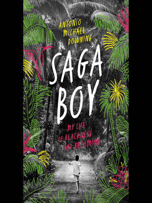cover image of Saga Boy